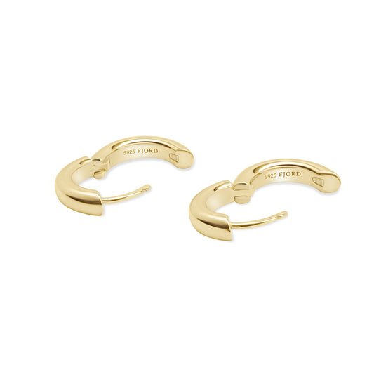 Gold hoop earrings on a white background