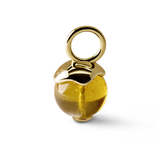 Single Signature Amber Charm | 14K Gold Vermeil over Sterling Silver